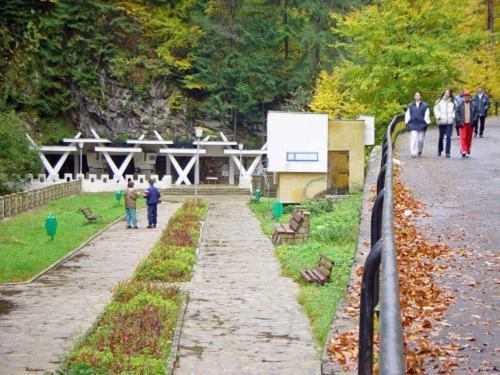 Pension Casa Alba Slănic-Moldova Dış mekan fotoğraf
