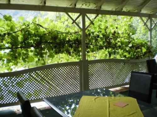 Pension Casa Alba Slănic-Moldova Dış mekan fotoğraf